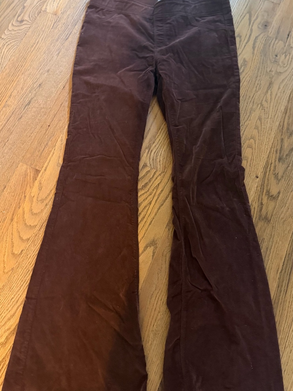 Free People Corduroy Pants in Rust